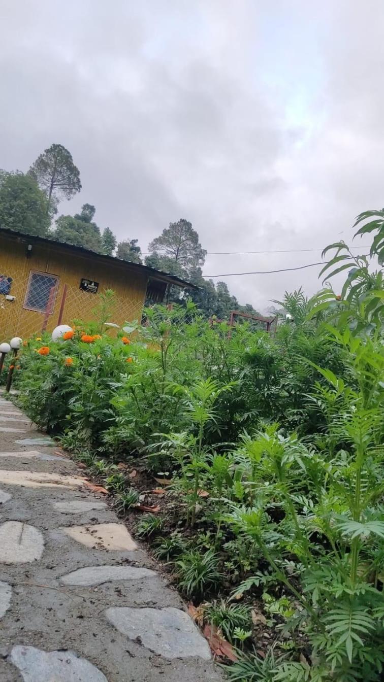 Krishna Kutir, Talla Ramgarh By The Meditating Society Extérieur photo